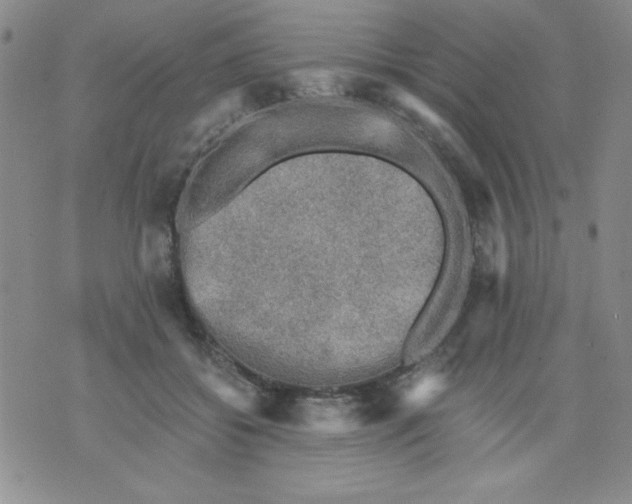 X0000076030556200610152050