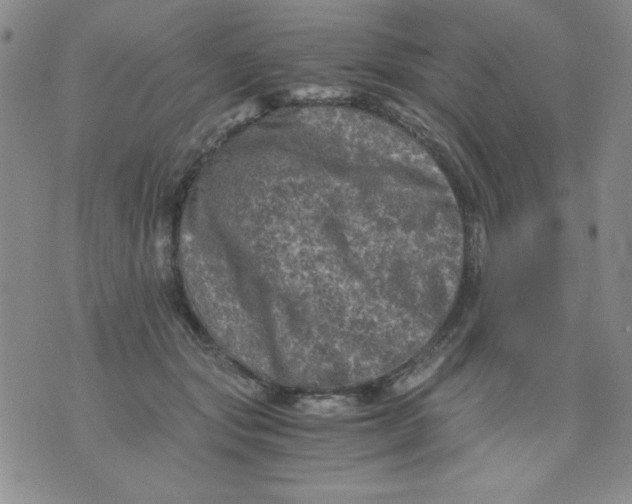 X0000076030557200610152050