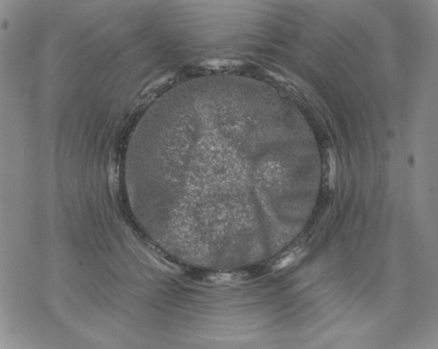 X0000076030558200610152050