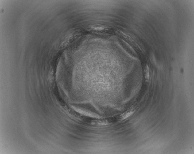 X0000076030559200610152050