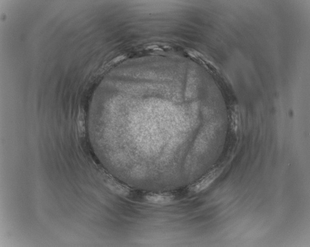 X0000076030561200610152050