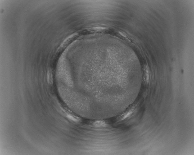 X0000076030562200610152050