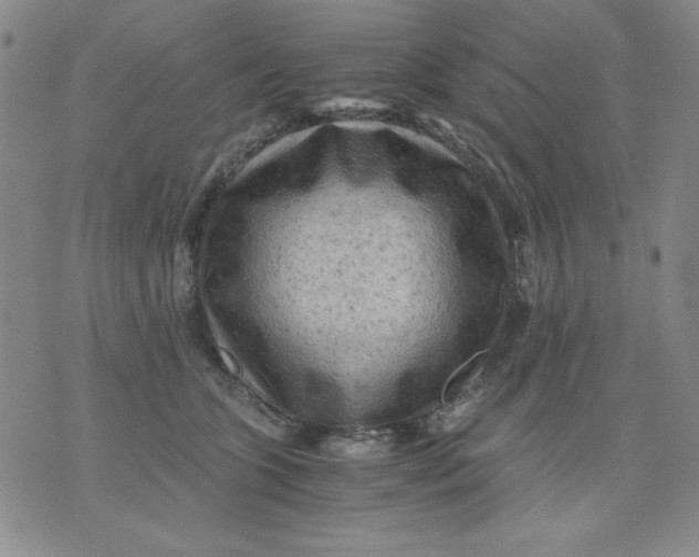 X0000076030563200610152050