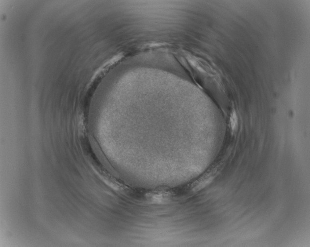 X0000076030564200610152050