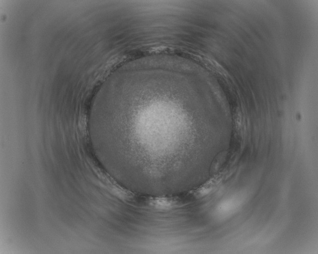 X0000076030565200610152050