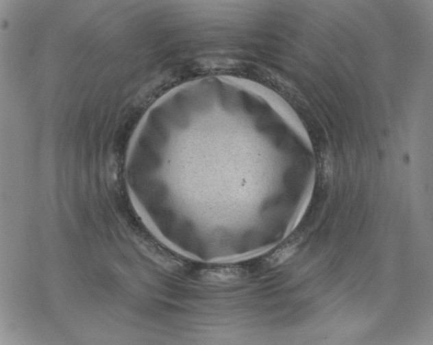 X0000076030567200610152050