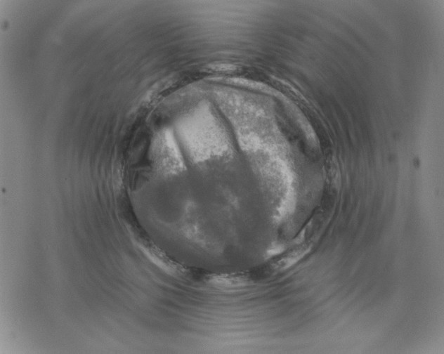 X0000076030568200610152050