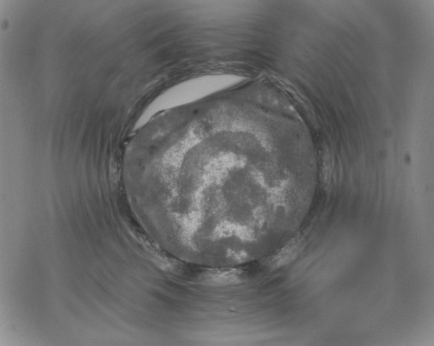 X0000076030569200610152050