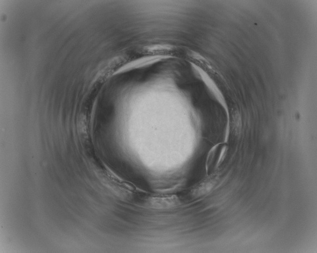 X0000076030571200610152050