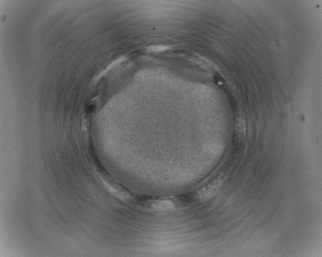 X0000076030572200610152050