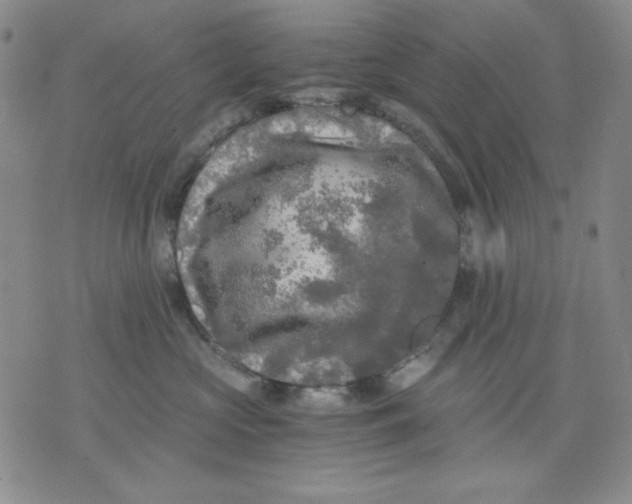 X0000076030573200610152050