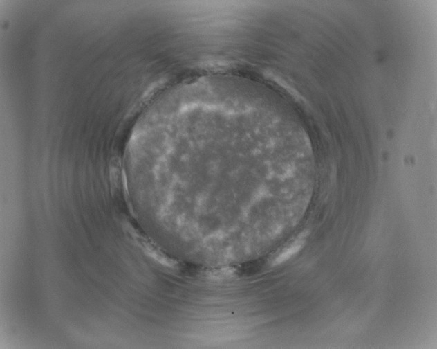 X0000076030576200610152050