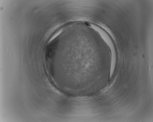 X0000076030577200610152049