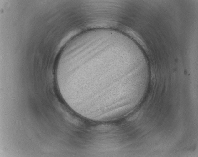 X0000076030578200610152049