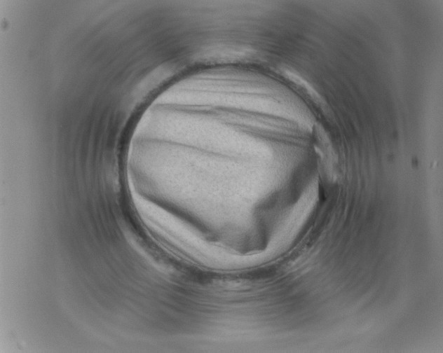 X0000076030582200610152049