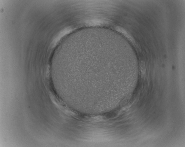 X0000076030583200610152049