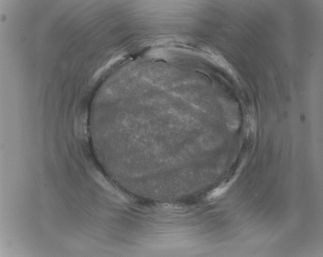 X0000076030585200610152049