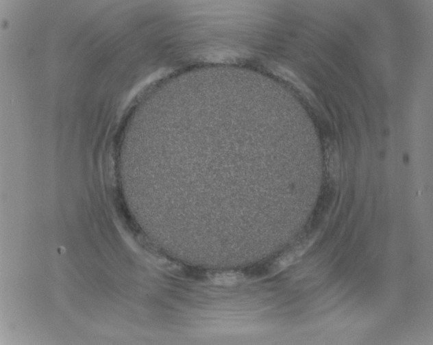 X0000076030587200610152049