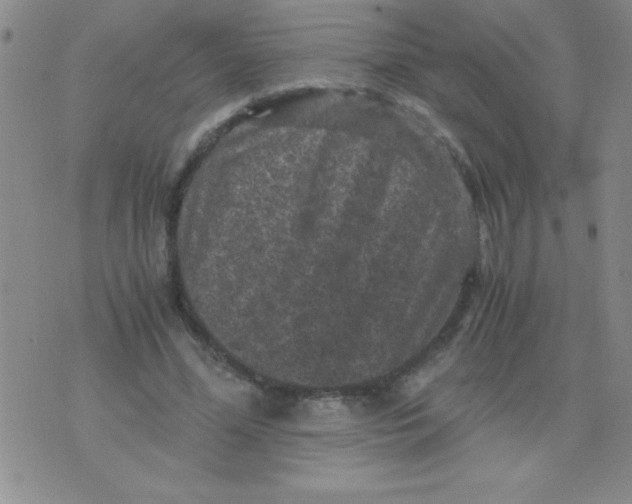 X0000076030588200610152049