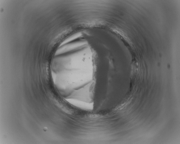 X0000076030590200610152049