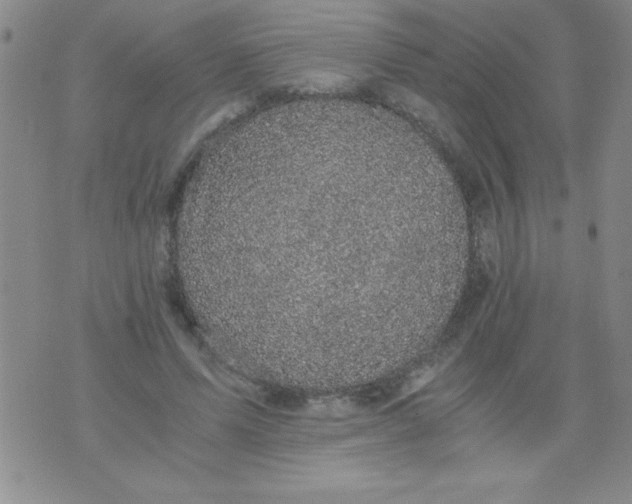 X0000076030591200610152049