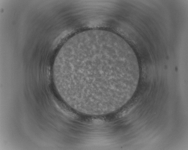 X0000076030592200610152049