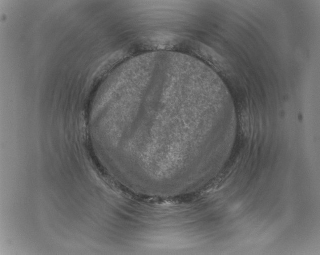 X0000076030594200610152049