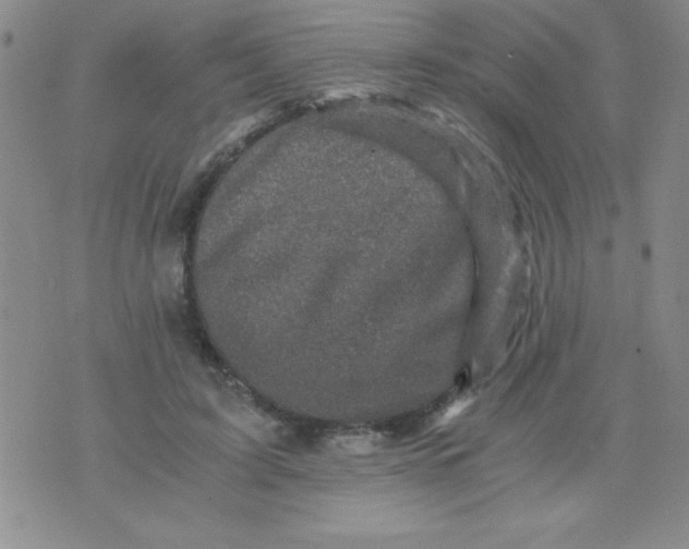 X0000076030595200610152049