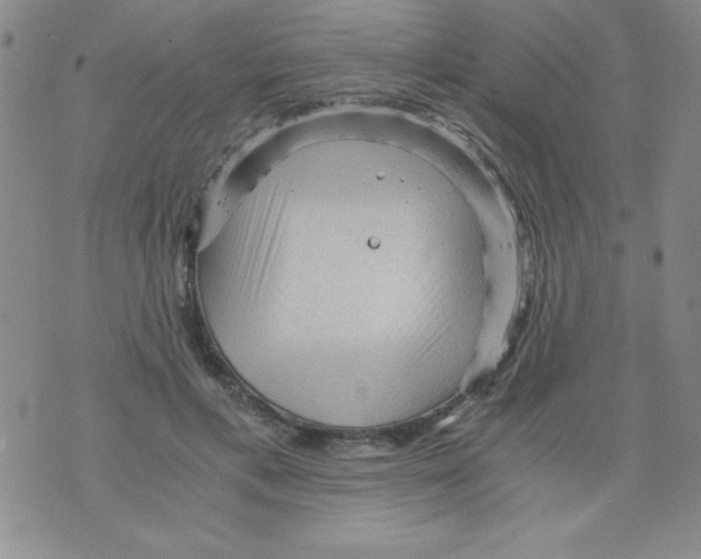 X0000076030597200610152049