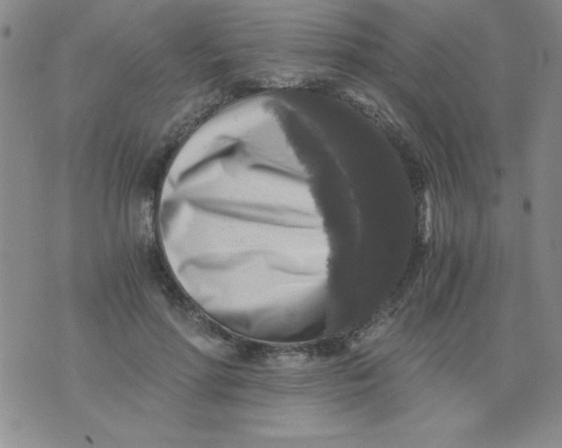 X0000076030598200610152049