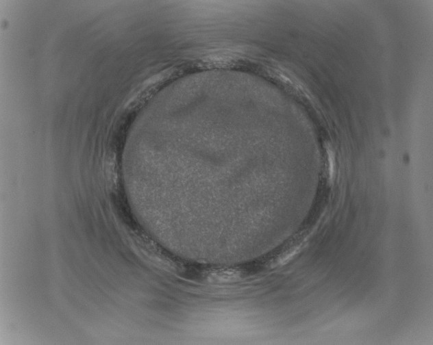 X0000076030599200610152049