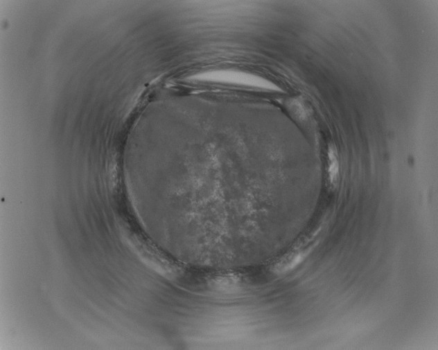 X0000076030600200610152049