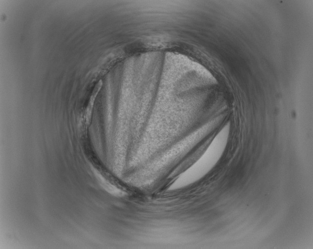 X0000076030601200610152049