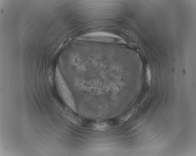 X0000076030604200610152049