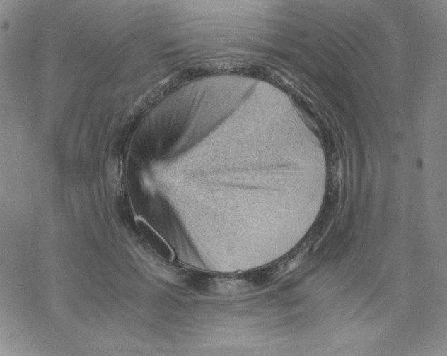 X0000076030605200610152049