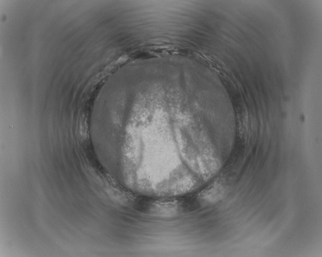 X0000076030606200610152049