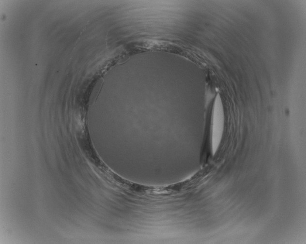 X0000076030607200610152049