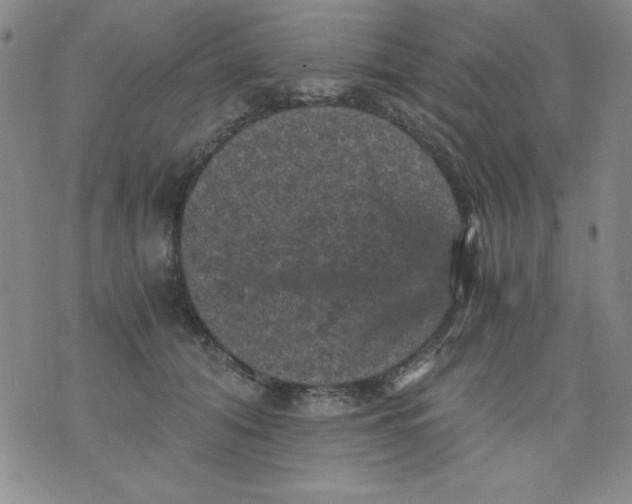 X0000076030608200610152049