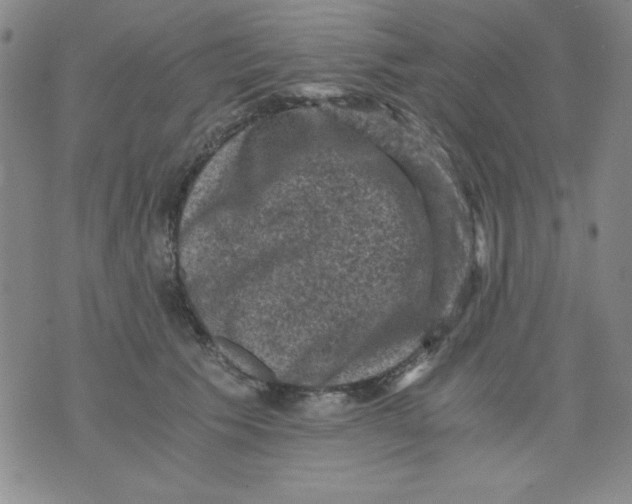 X0000076030609200610152049