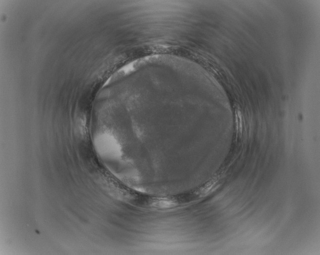 X0000076030610200610152049