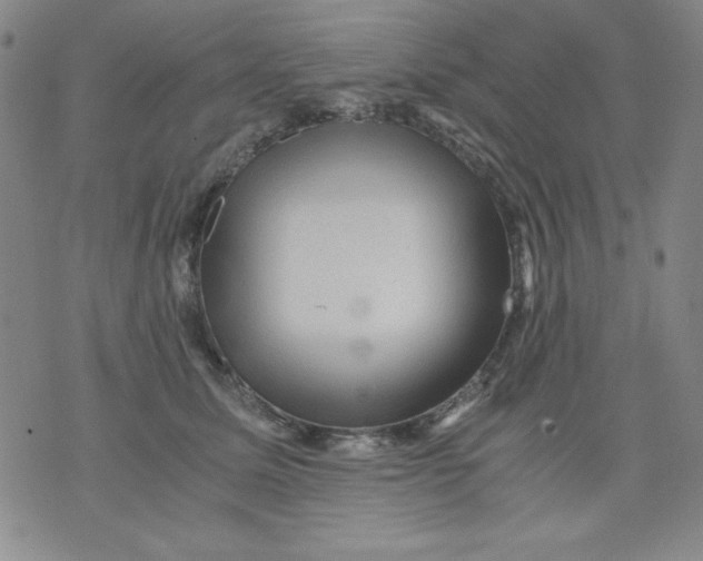 X0000076030611200610152049