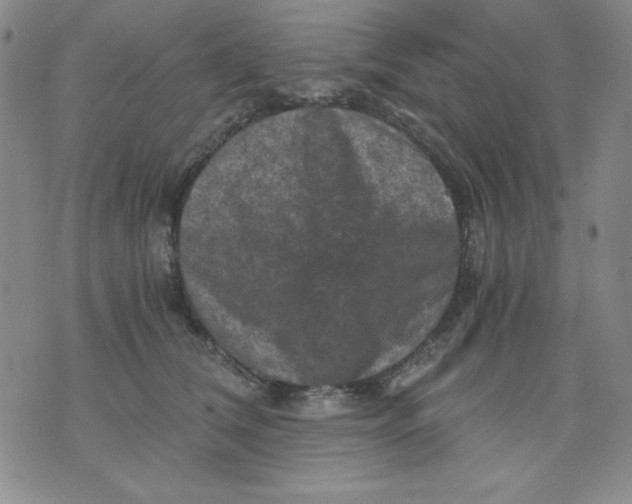 X0000076030612200610152049