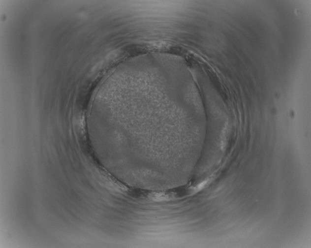 X0000076030613200610152049