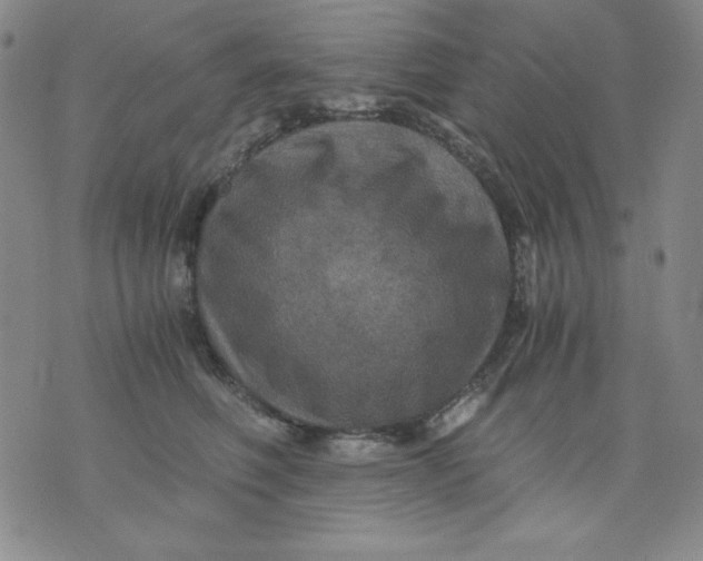 X0000076030614200610152049