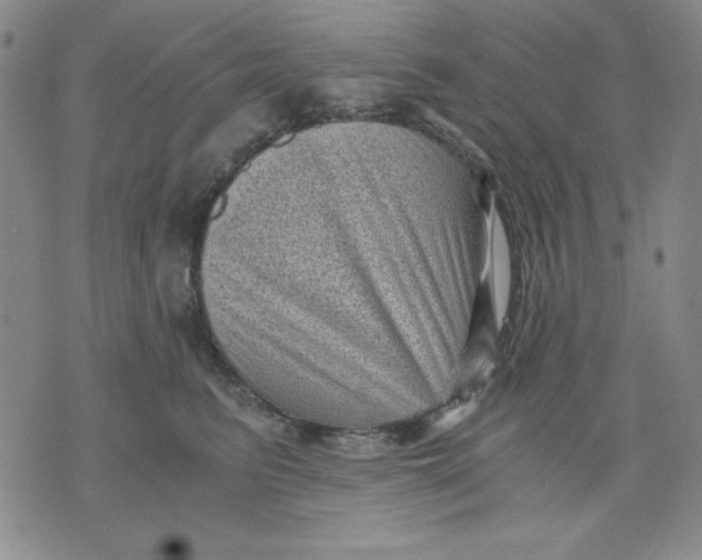 X0000076030615200610152049