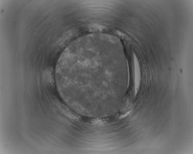 X0000076030616200610152049