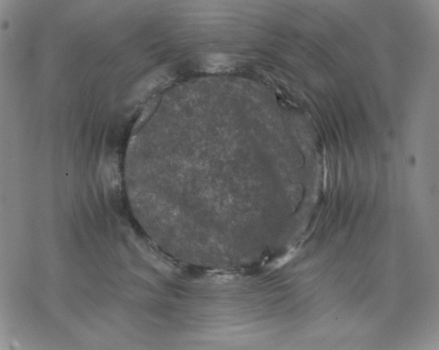 X0000076030620200610152049