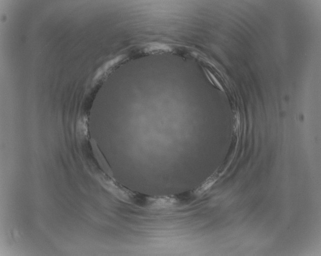 X0000076030621200610152049