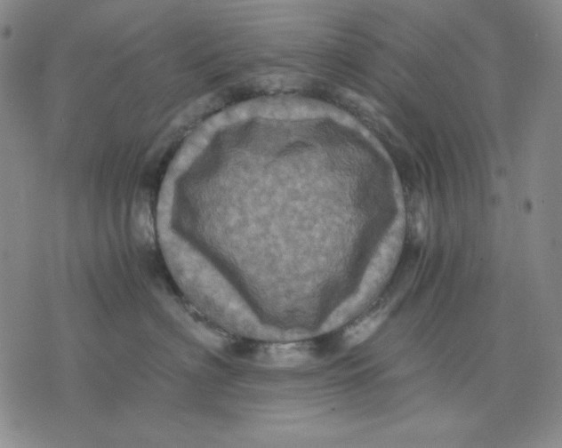 X0000076030622200610152049