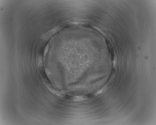 X0000076030623200610152049